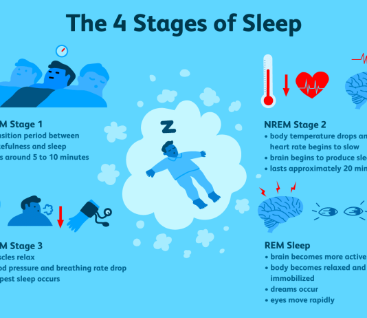 what are the different stages of sleep 2