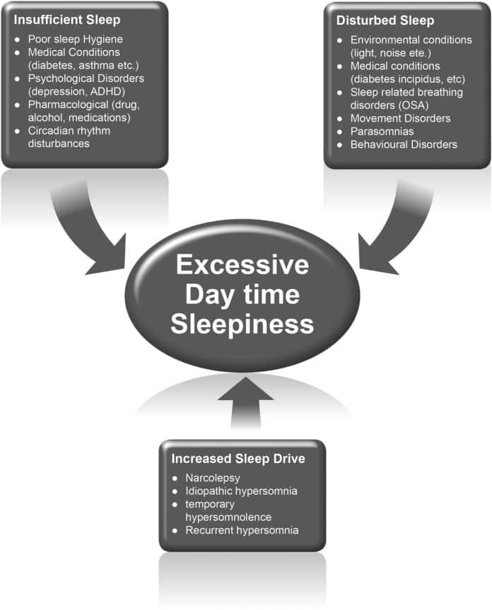 what causes excessive daytime sleepiness 2