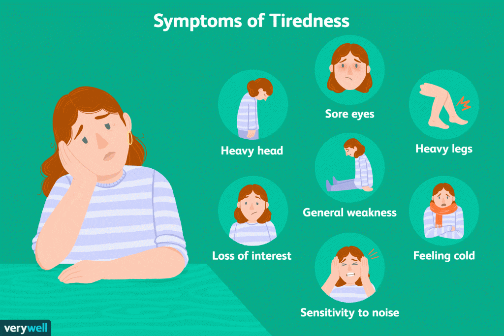 What Causes Us To Be Tired During The Day?