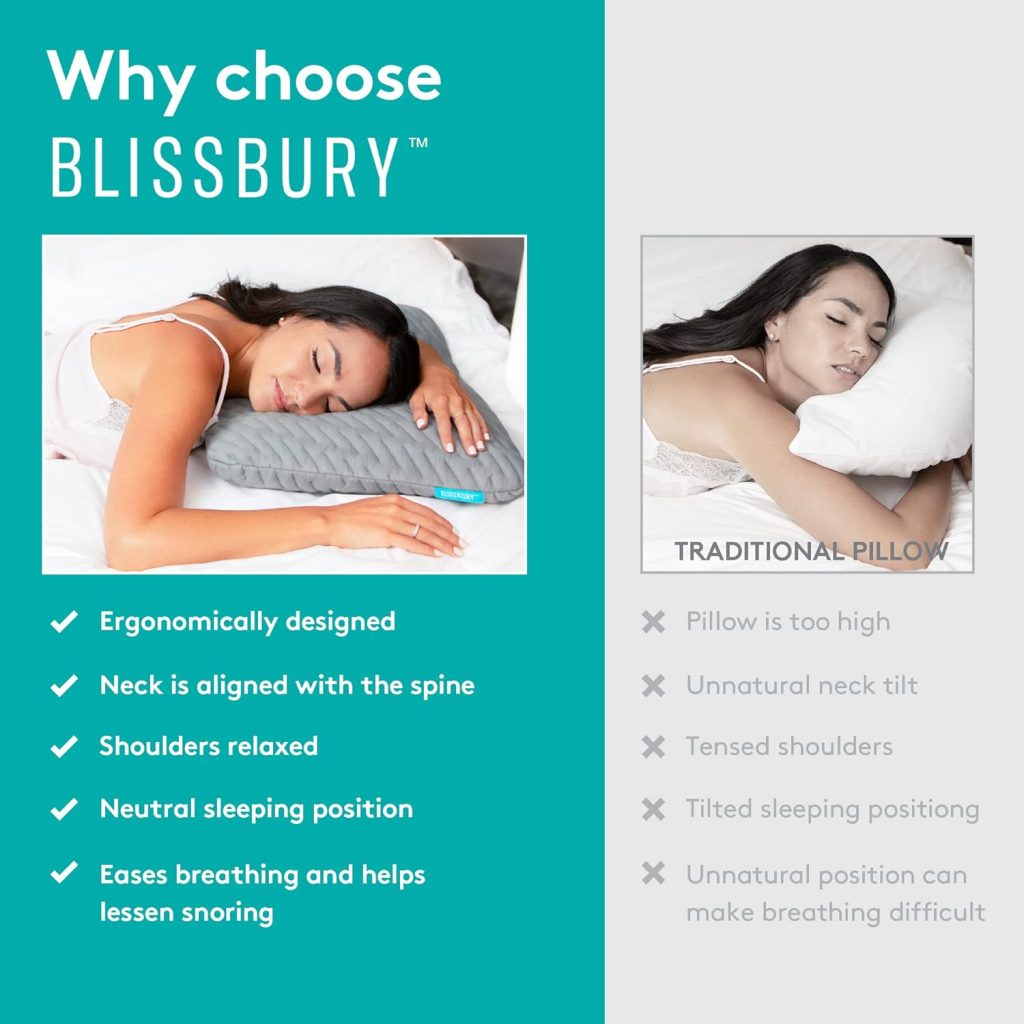 BLISSBURY 2.6 Inch Ultra Thin Pillow for Sleeping | Premium Memory Foam Flat Pillow for Stomach Sleeper | for Back  Stomach Sleeper | Certified Foam for Neck and Back Support | Removable Bamboo Case