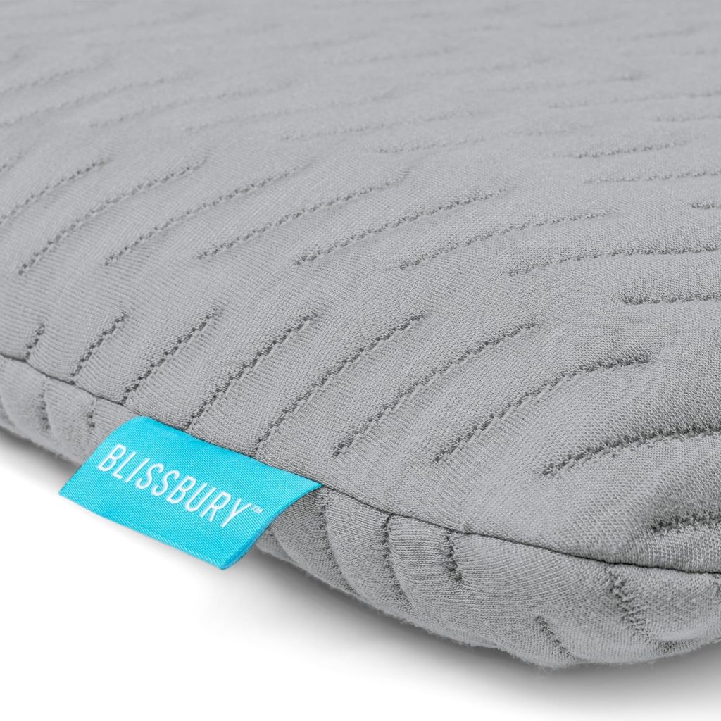 BLISSBURY 2.6 Inch Ultra Thin Pillow for Sleeping | Premium Memory Foam Flat Pillow for Stomach Sleeper | for Back  Stomach Sleeper | Certified Foam for Neck and Back Support | Removable Bamboo Case